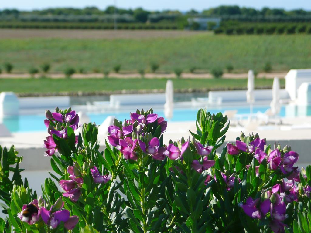 Masseria Bagnara Resort & Spa Marina di Lizzano Exterior photo